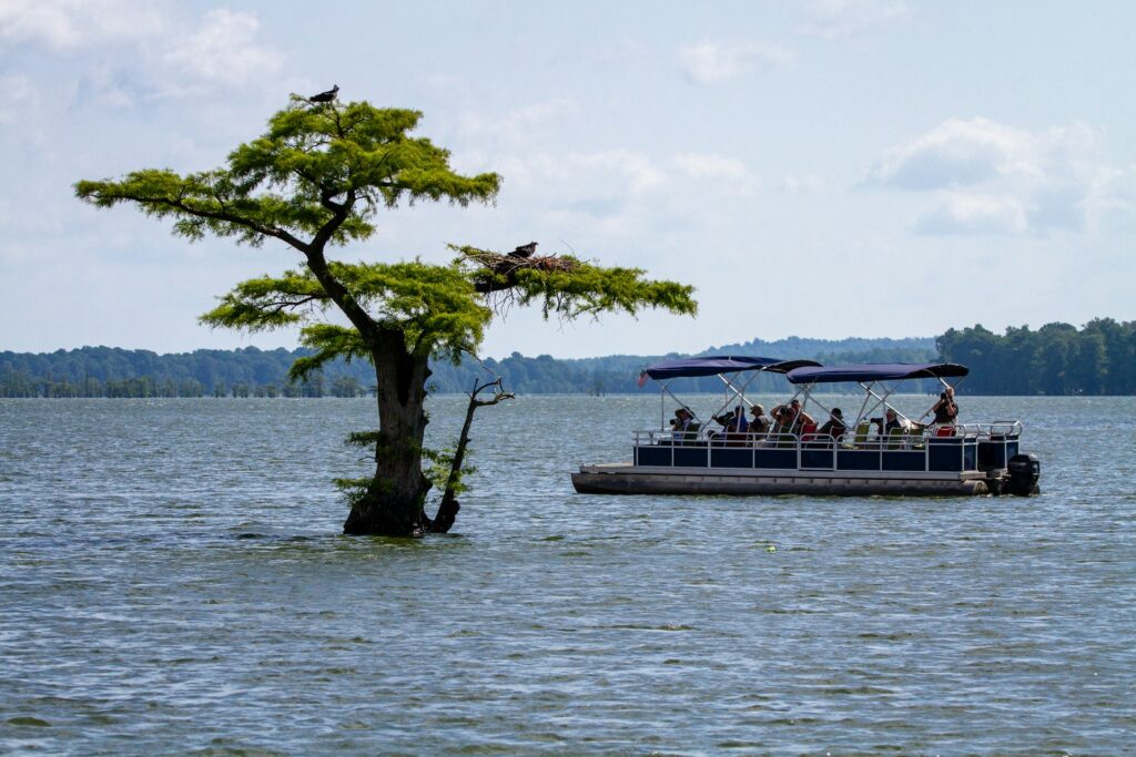 pontoon boat