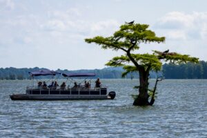 pontoon boat