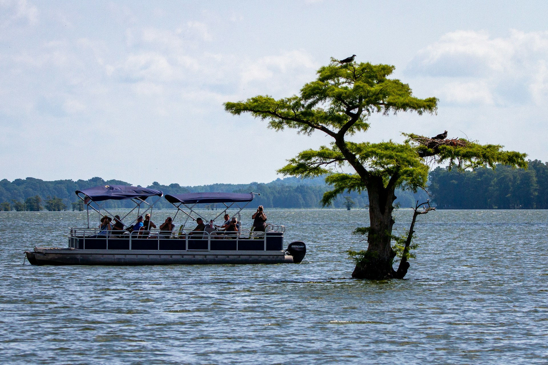 pontoon boat